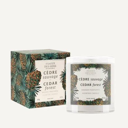 Bougie parfumée Cèdre Sauvage - cire végétale 275g